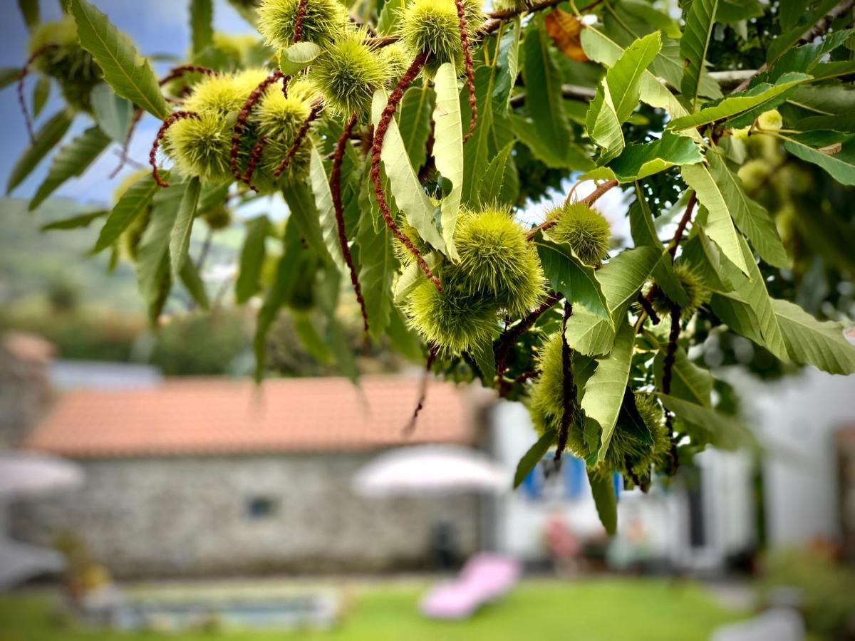 Casa Do Acor - Villaverde Azores Feteiras Dış mekan fotoğraf