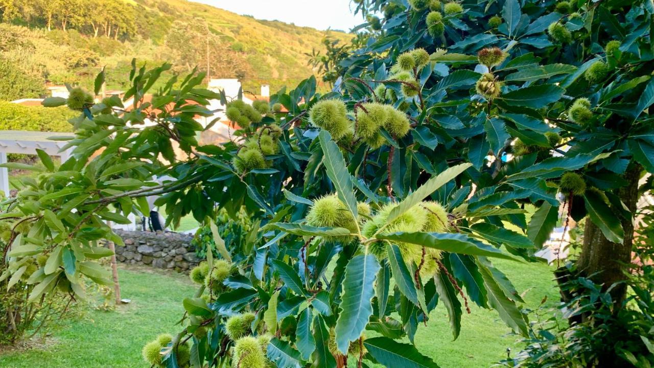 Casa Do Acor - Villaverde Azores Feteiras Dış mekan fotoğraf